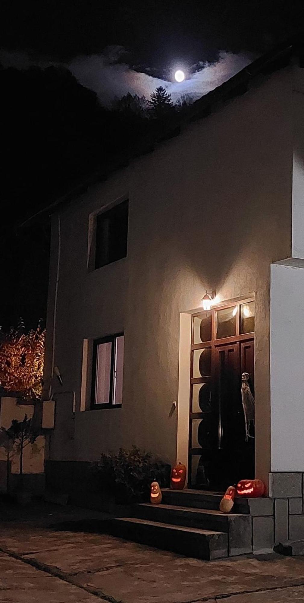 The Black Cat Bran  Zewnętrze zdjęcie
